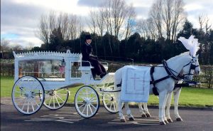 funeral-carriage